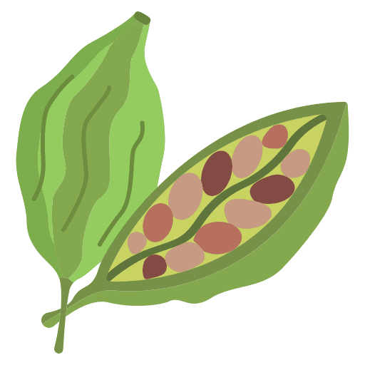 Kardamom