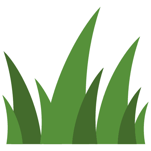 Vetiver