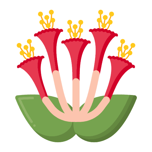 Geißblatt