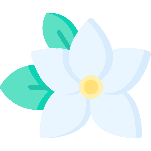 Jasmin