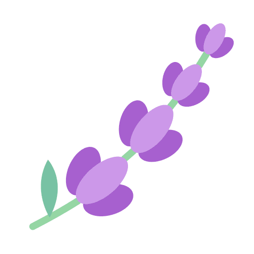 Lavendel
