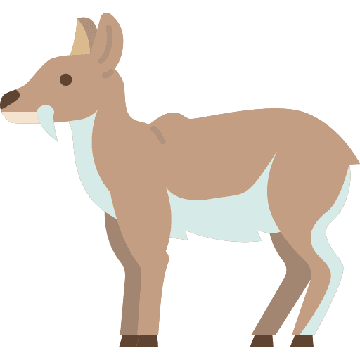 Moschus