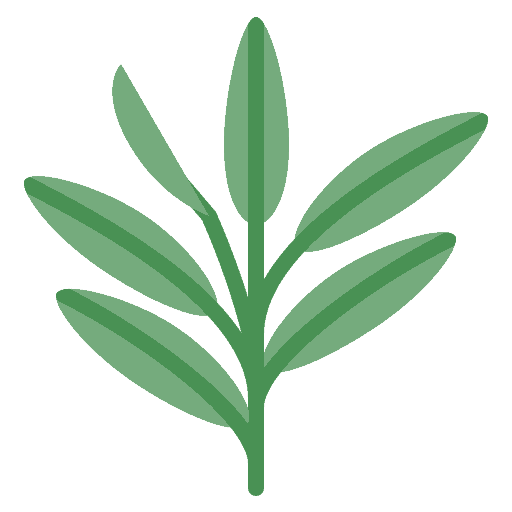 Salbei