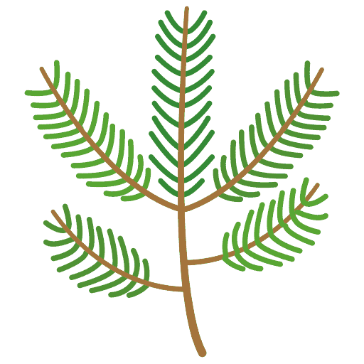 Virginiazeder
