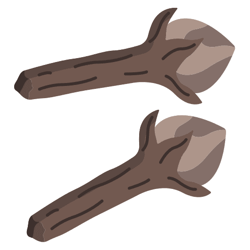 Gewürznelke