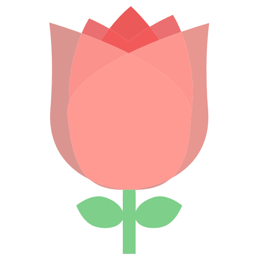 Türkische Rose