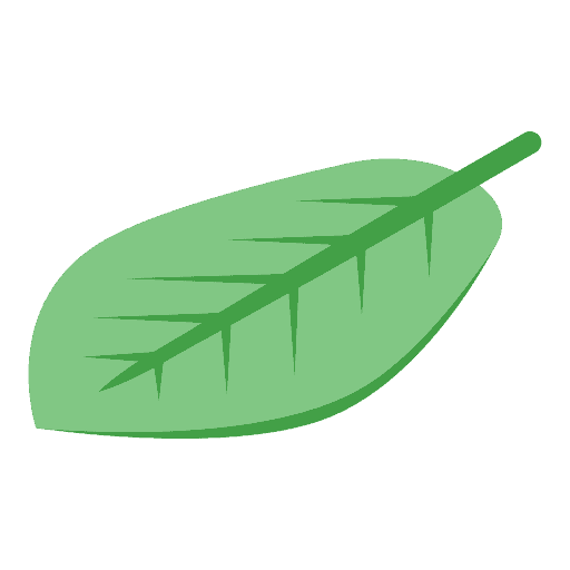 Kakaoblatt