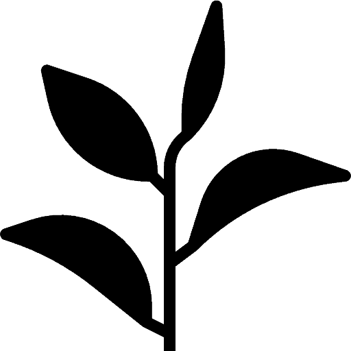 Schwarzer Tee aus China