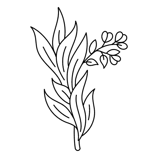 Estragon