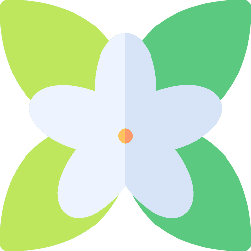 Orangenblüte