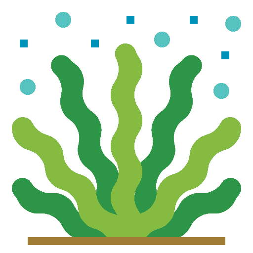 Neptungras