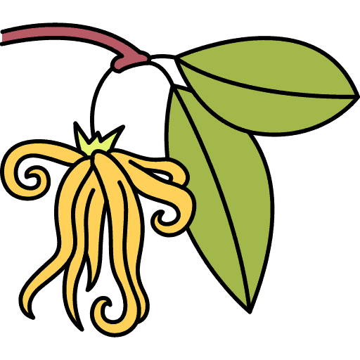 Ylang-Ylang