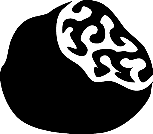 Schwarzer Trüffel