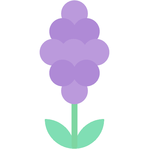 Hyazinthe