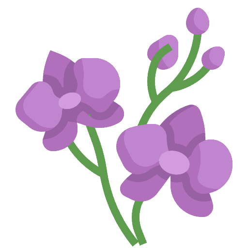 Vanilleorchidee