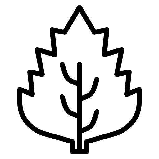 Shisoblatt